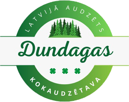 Dundagas kokaudzētava logotips