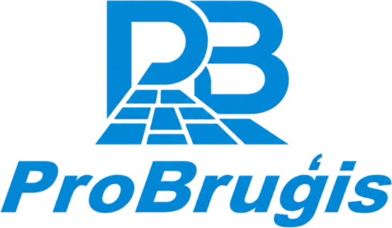 ProBruģis logotips
