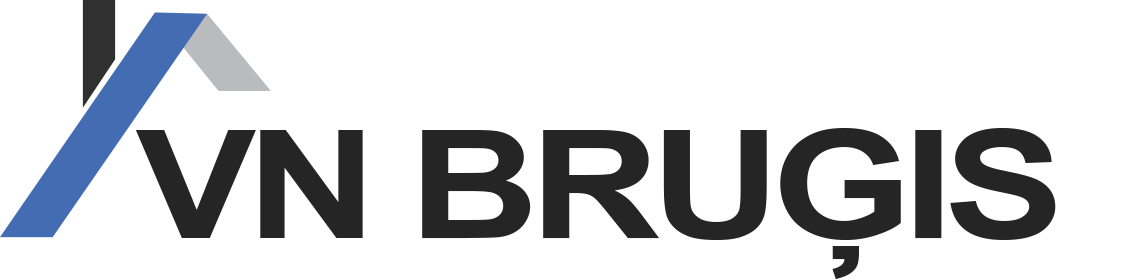 VN Bruģis logotips